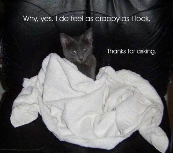 feelcrappy.jpg