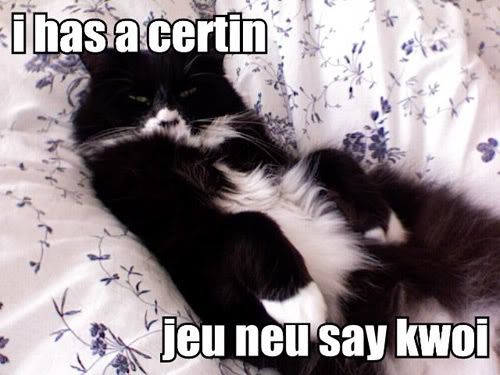 i-has-a-certin-jeu-neu-say.jpg
