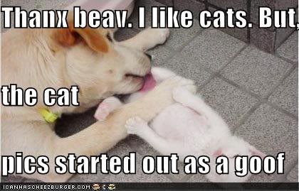 1beav.jpg