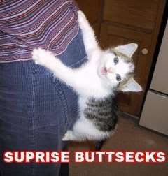 67562164JzGmJidrupperssurprisebutts.jpg