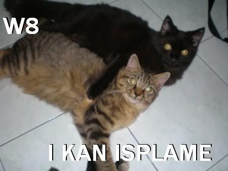 caught.jpg