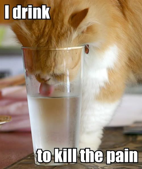 drunkb-2.jpg