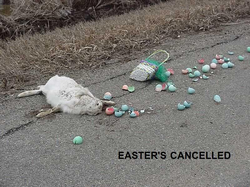 easterbunny-1.jpg