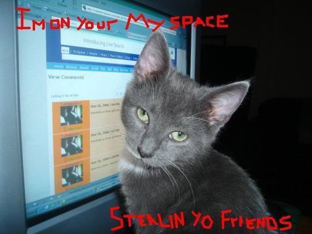 mysp.jpg