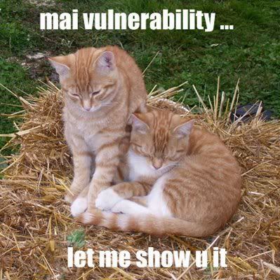 vulnerability.jpg