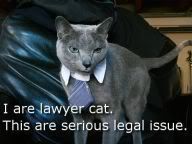 lawyers.jpg