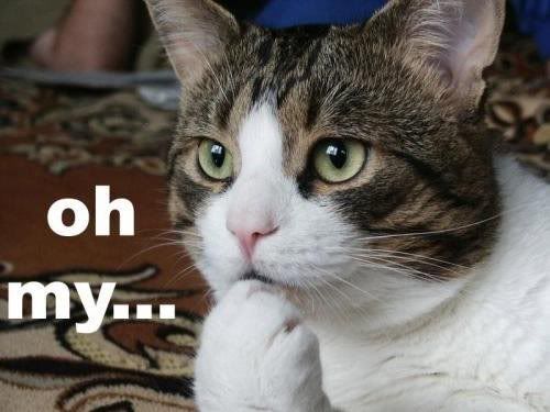 ohmy.jpg