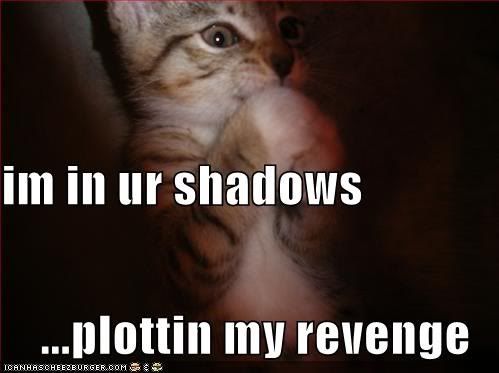 revenge.jpg