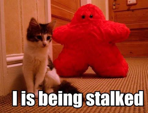 stalked-1.jpg