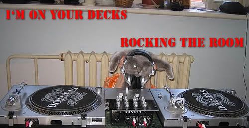 rockkk.jpg