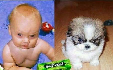 twins.jpg