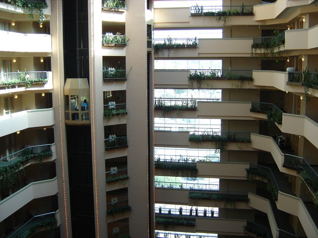 DSC01073.jpg