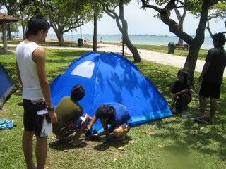 Photo Sharing and Video Hosting at Photobucket