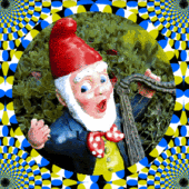 gnome.gif gnome image by BunnyClyde