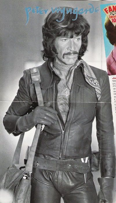 wyngarde2.jpg