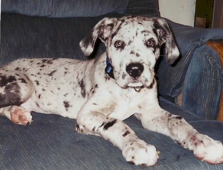 photo Georgeat4weeks_zps6d6340cb.jpg