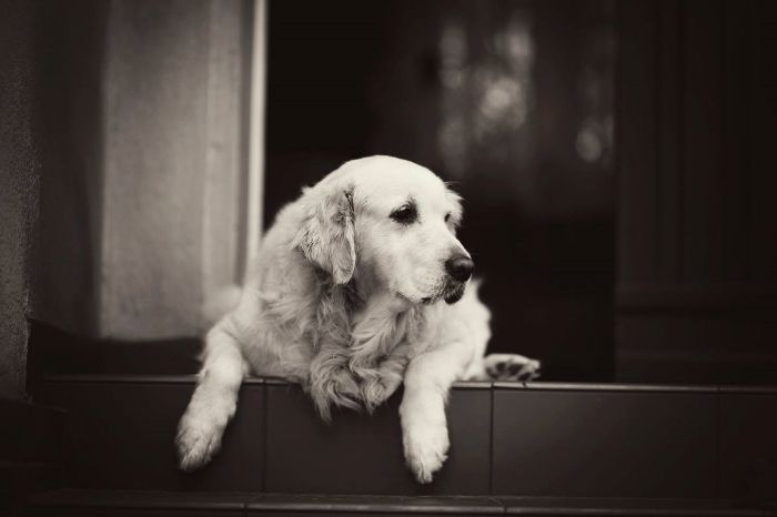 10623577_737641089618149_210925096484731