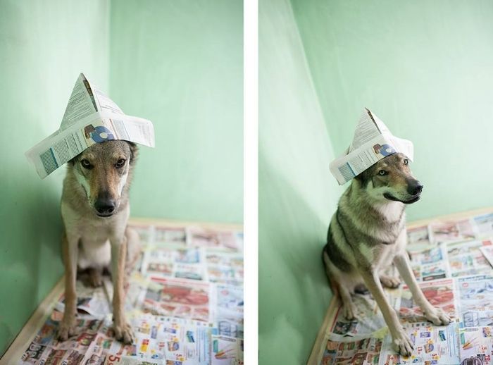 24c7eebd-70db-47a6-ae1b-3aeea3504373_zps