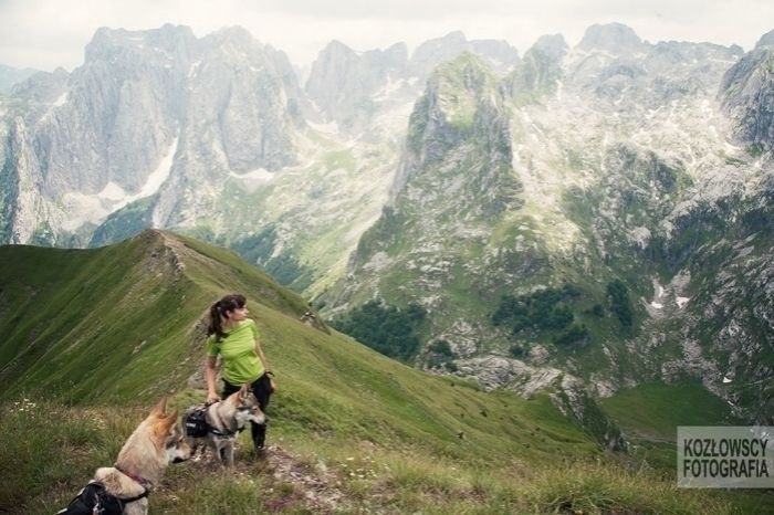 2637fd3c-1b35-43e7-a31f-9576c435788f_zps