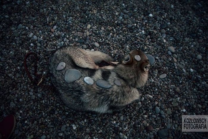 325308ea-9f0b-4ef2-8bff-573311d2c849_zps