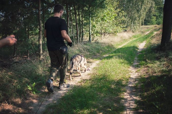 4023a481-e988-4e69-b931-66be34a8b33b_zps