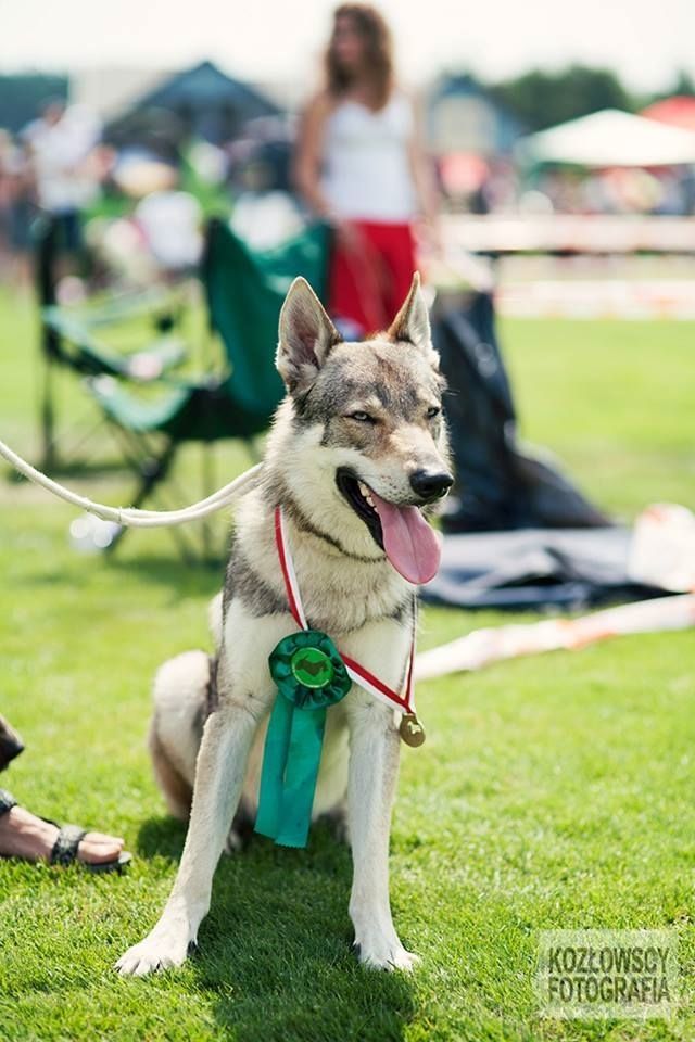 4e260b65-61f6-4b5d-85db-8fa0384d09b1_zps