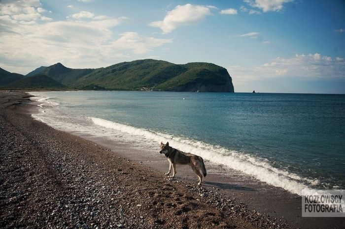 75720460-203d-405d-8bb6-0c08be4b6ba4_zps