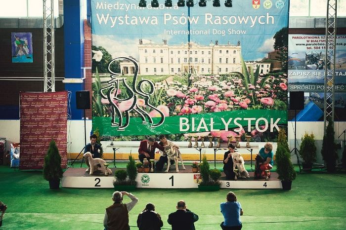 975de886-af3e-42dc-8842-03d2ccefdc51_zps