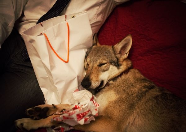 IMG_5769_zps8fe58d75.jpg?t=1420549924