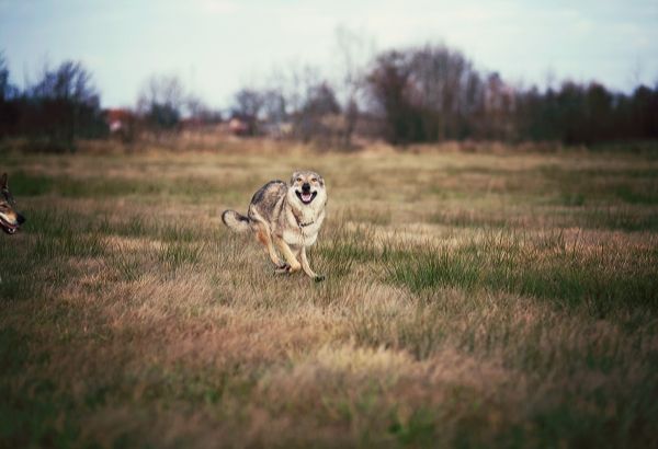 IMG_5827_zps5812e236.jpg?t=1420550315