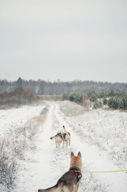 IMG_5861_zps70e8e6e4.jpg?t=1420569091