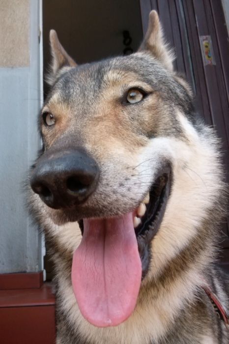 daa25124-d0d5-459d-88b2-1fc8d66b1838_zps