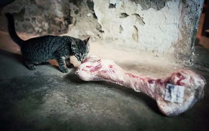 de21052e-23ca-4820-91be-50d42ffe710a_zps