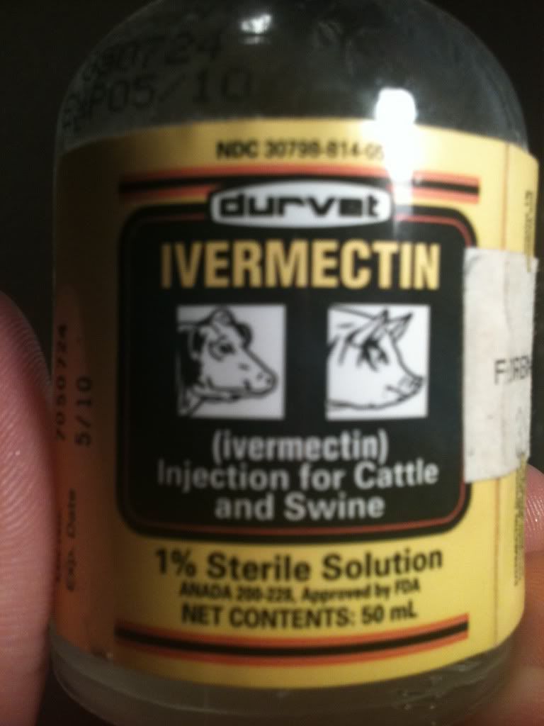 badoo rencontre femme