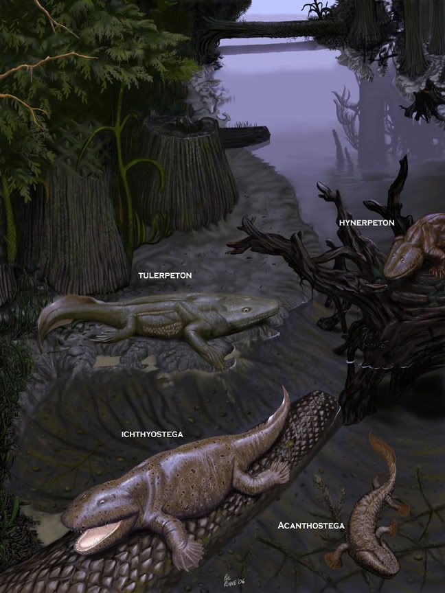 tetrapods-1.jpg