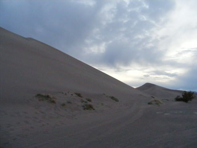 DSCF1359.jpg