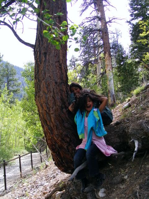 DSCF8277.jpg