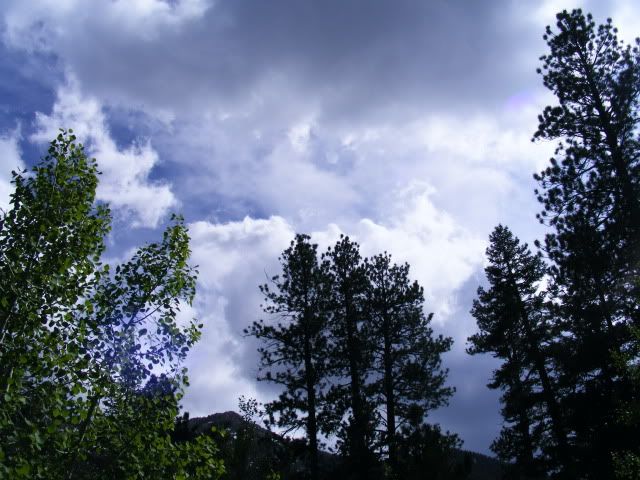 DSCF8279.jpg