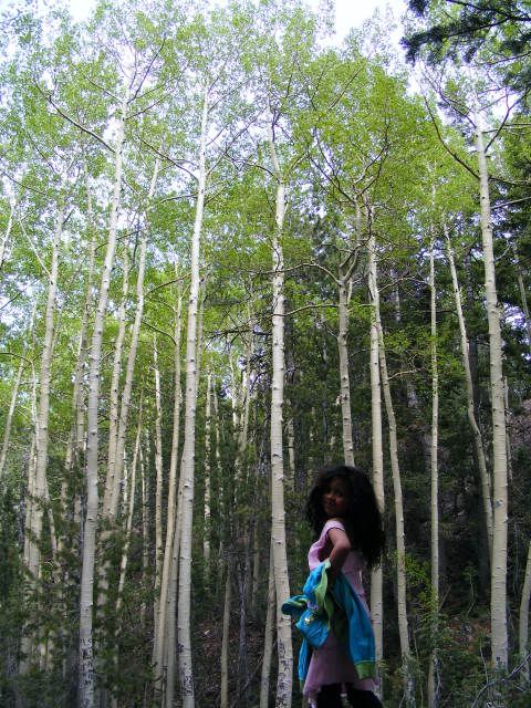 DSCF8299.jpg