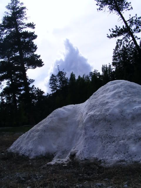 DSCF8322.jpg