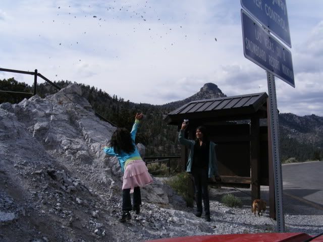 DSCF8335.jpg
