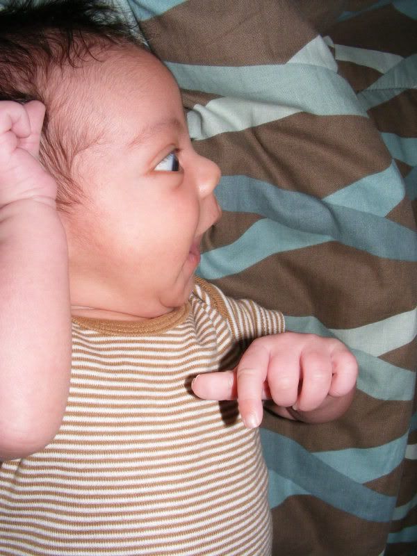 1-13-11talking.jpg