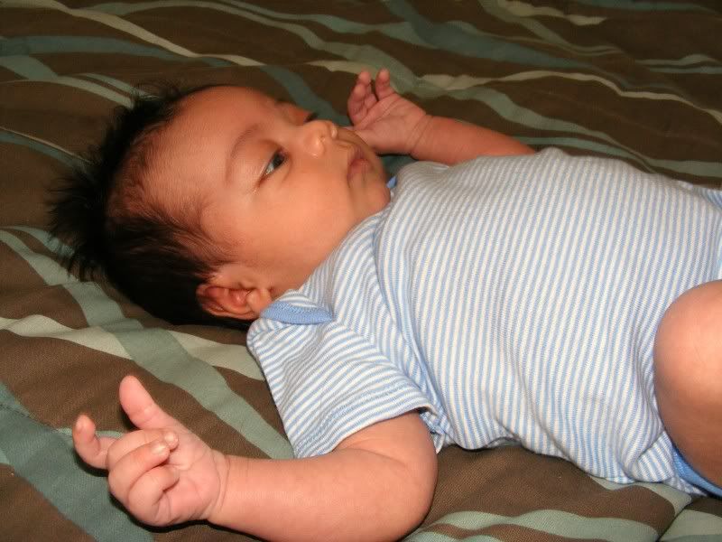1-16-20112.jpg