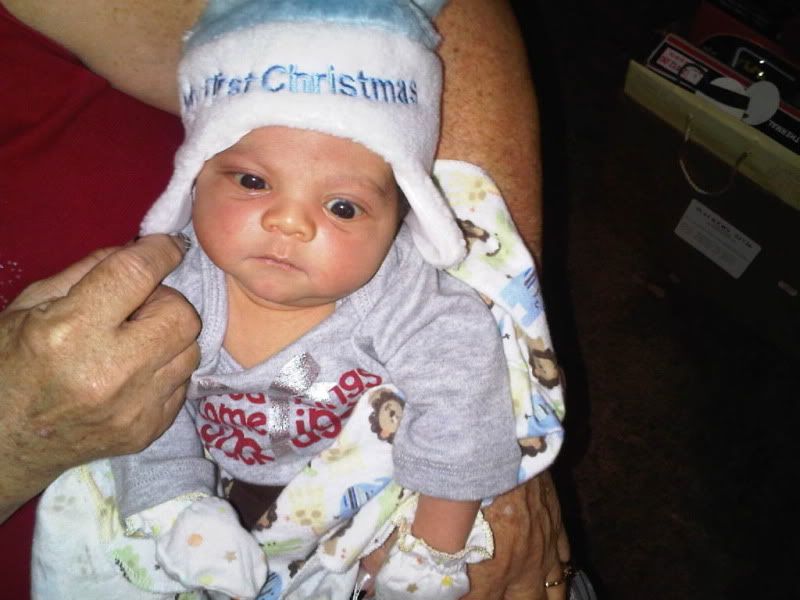 IMG08887-20101225-1341.jpg