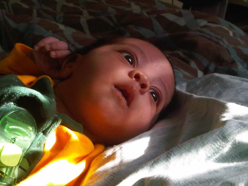 Lucien20110110.jpg