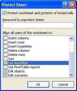 LockAutoFilter.jpg