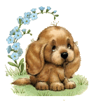 puppy.gif puppy image by catchmybutterflykissess