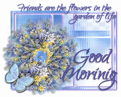 Good Morning Pictures, Images and Photos