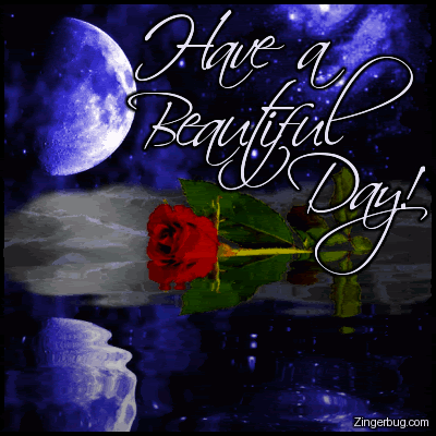 Beautiful Day Pictures, Images and Photos