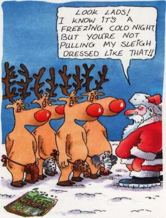 Funny Christmas photo: Funny reindeer-1.jpg